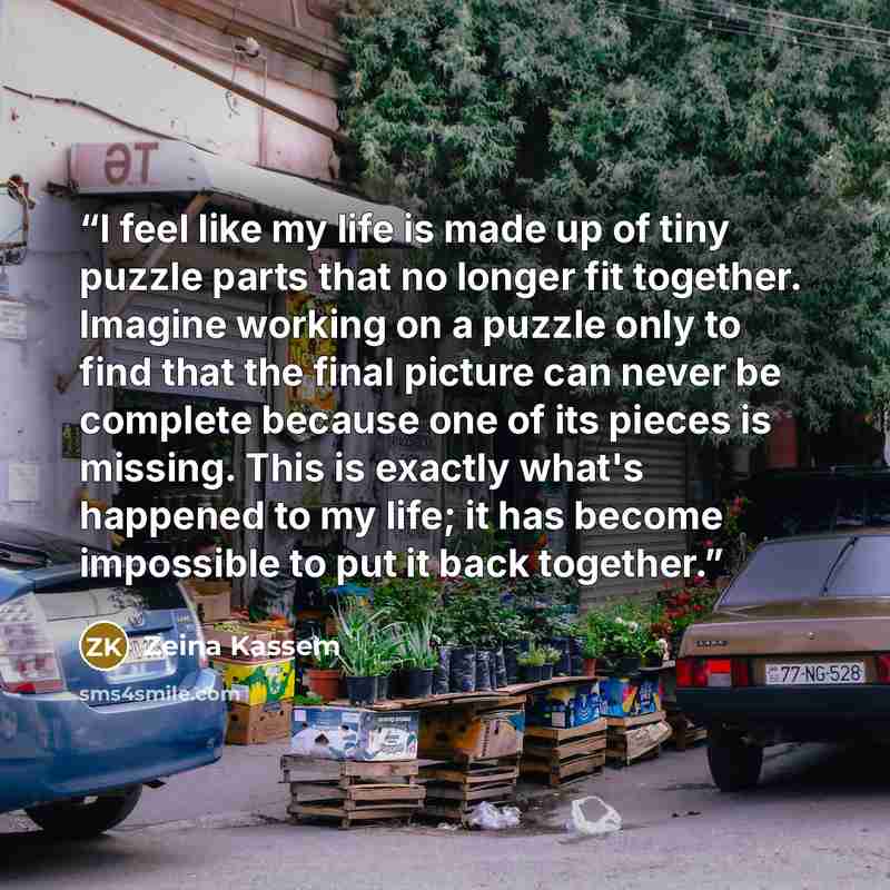 “I feel like my life is made up of tiny puzzle parts that no longer fit together. Imagine working on a puzzle only to find that the final picture can never be complete because one of its pieces is missing. This is exactly what's happened to my life; it has become impossible to put it back together.” quote by Zeina Kassem
