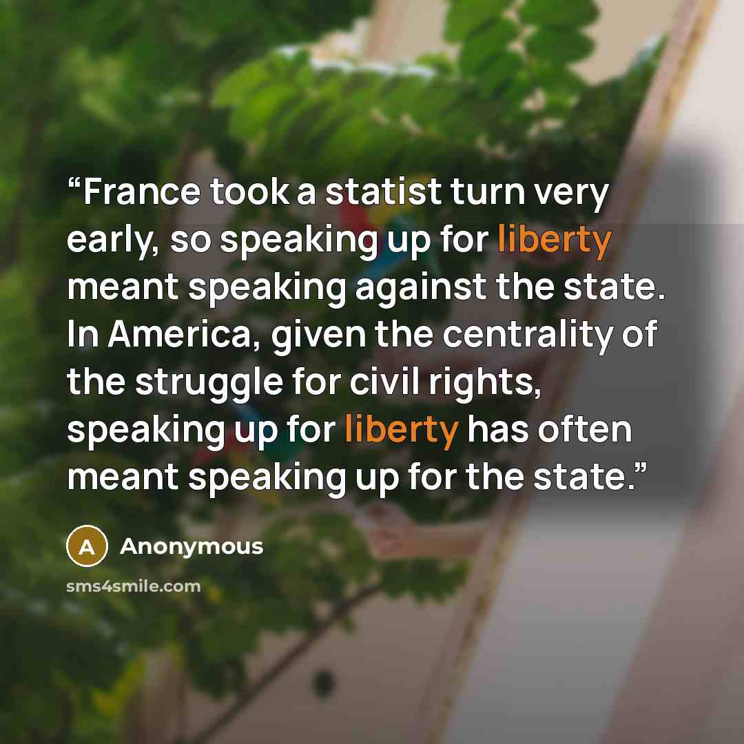 “France took a statist turn very early, so speaking up for liberty meant speaking against the state. In America, given the centrality of the struggle for civil rights, speaking up for liberty has often meant speaking up for the state.” quote by Anonymous