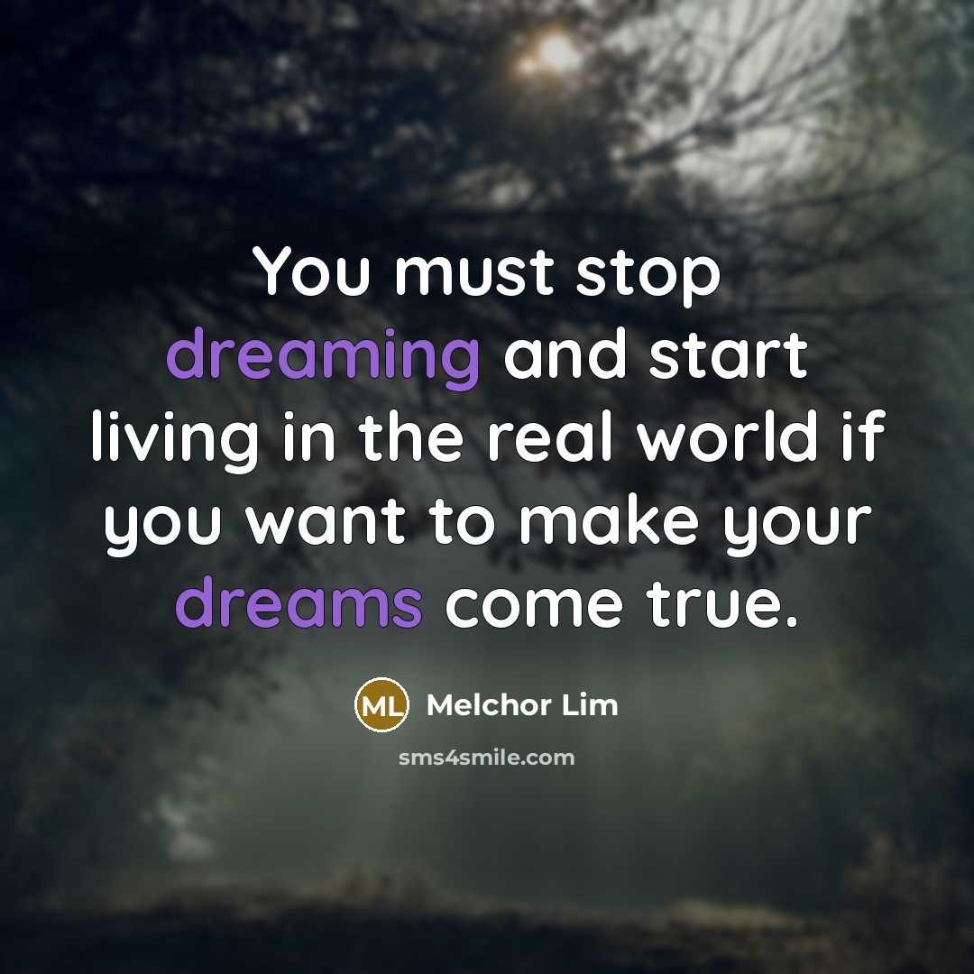 “You must stop dreaming and start living in the real world if you want to make your dreams come true.” quote by Melchor Lim