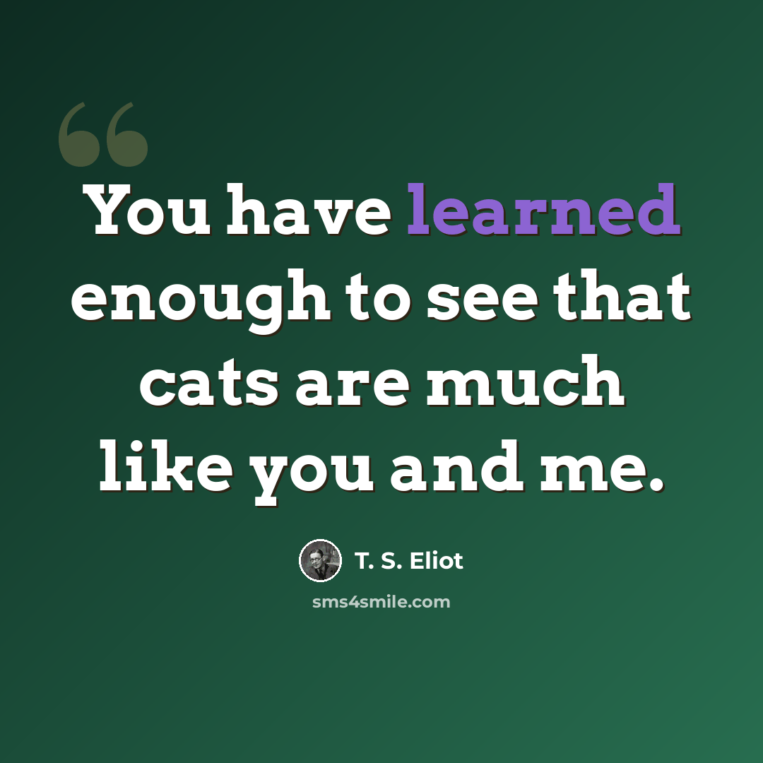 “You have learned enough to see that cats are much like you and me.” quote by T. S. Eliot