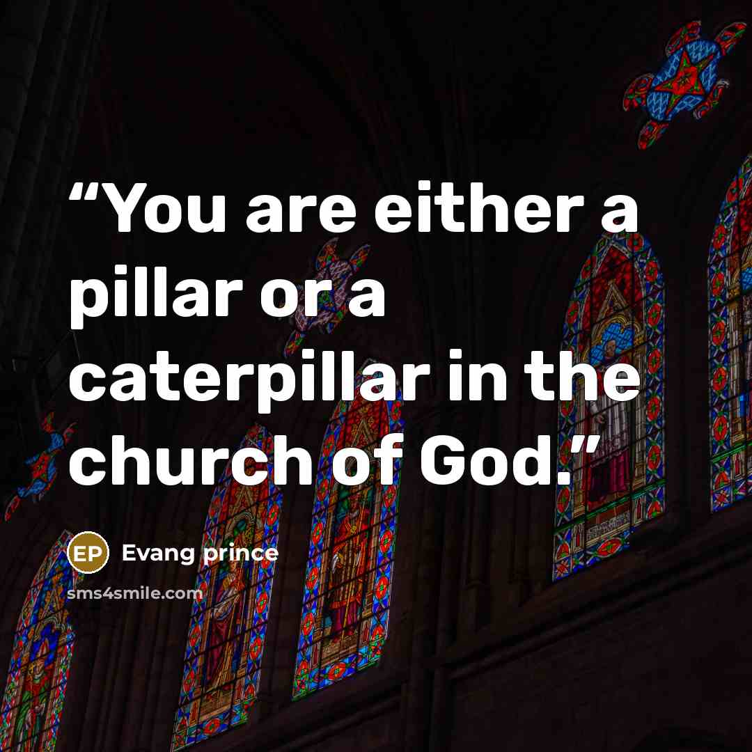 “You are either a pillar or a caterpillar in the church of God.” quote by Evang prince