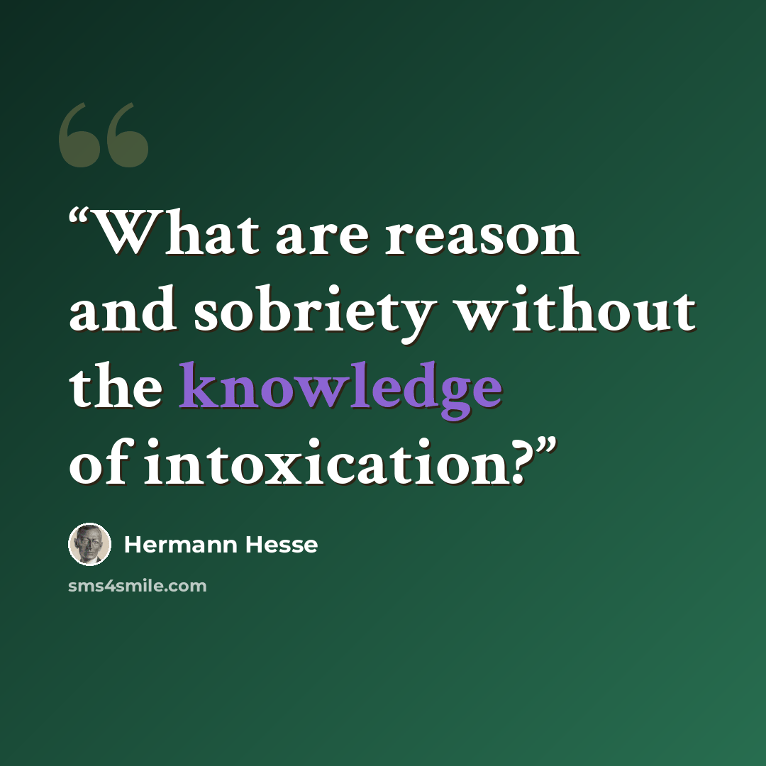 “What are reason and sobriety without the knowledge of intoxication?” quote by Hermann Hesse