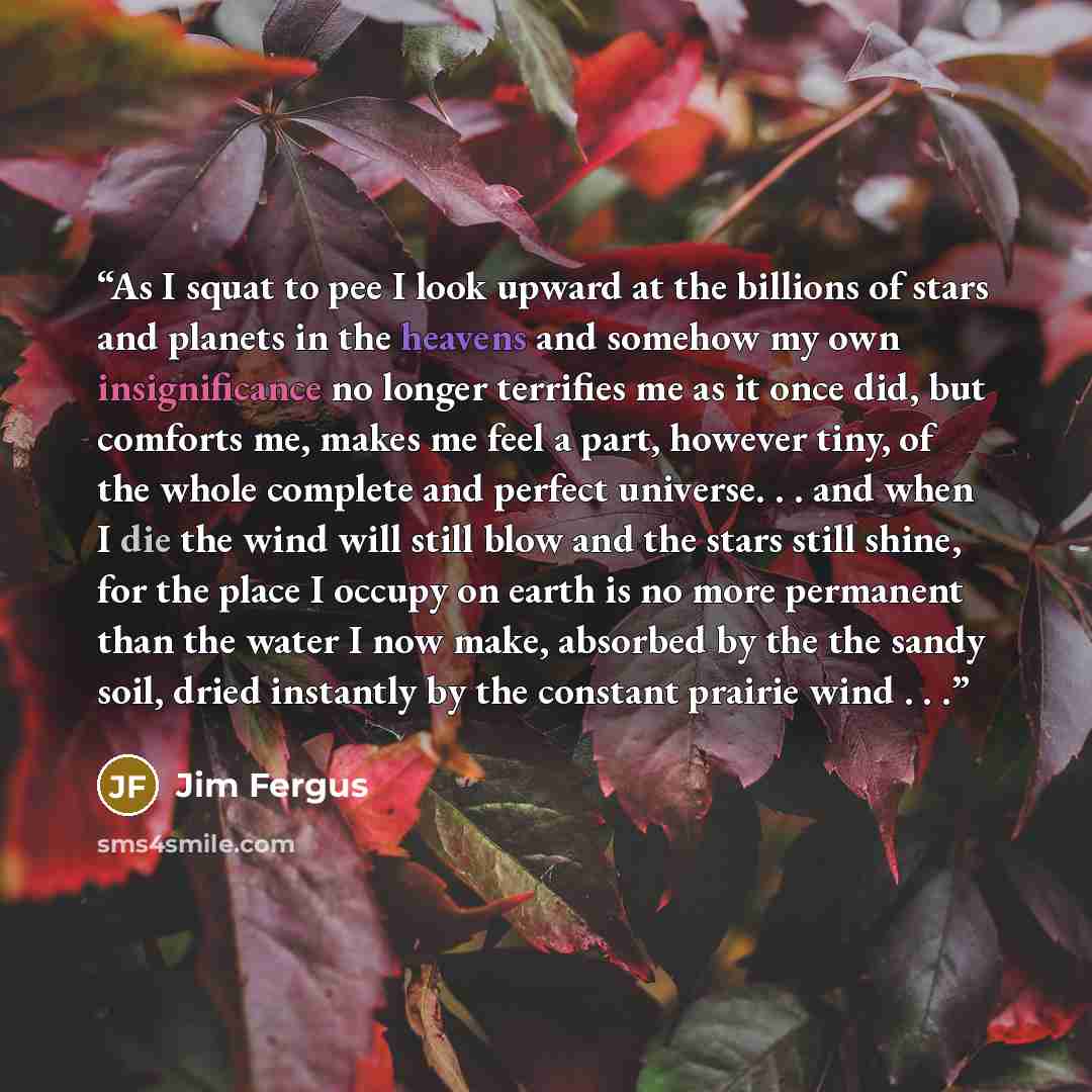 “As I squat to pee I look upward at the billions of stars and planets in the heavens and somehow my own insignificance no longer terrifies me as it once did, but comforts me, makes me feel a part, however tiny, of the whole complete and perfect universe. . . and when I die the wind will still blow…” quote by Jim Fergus