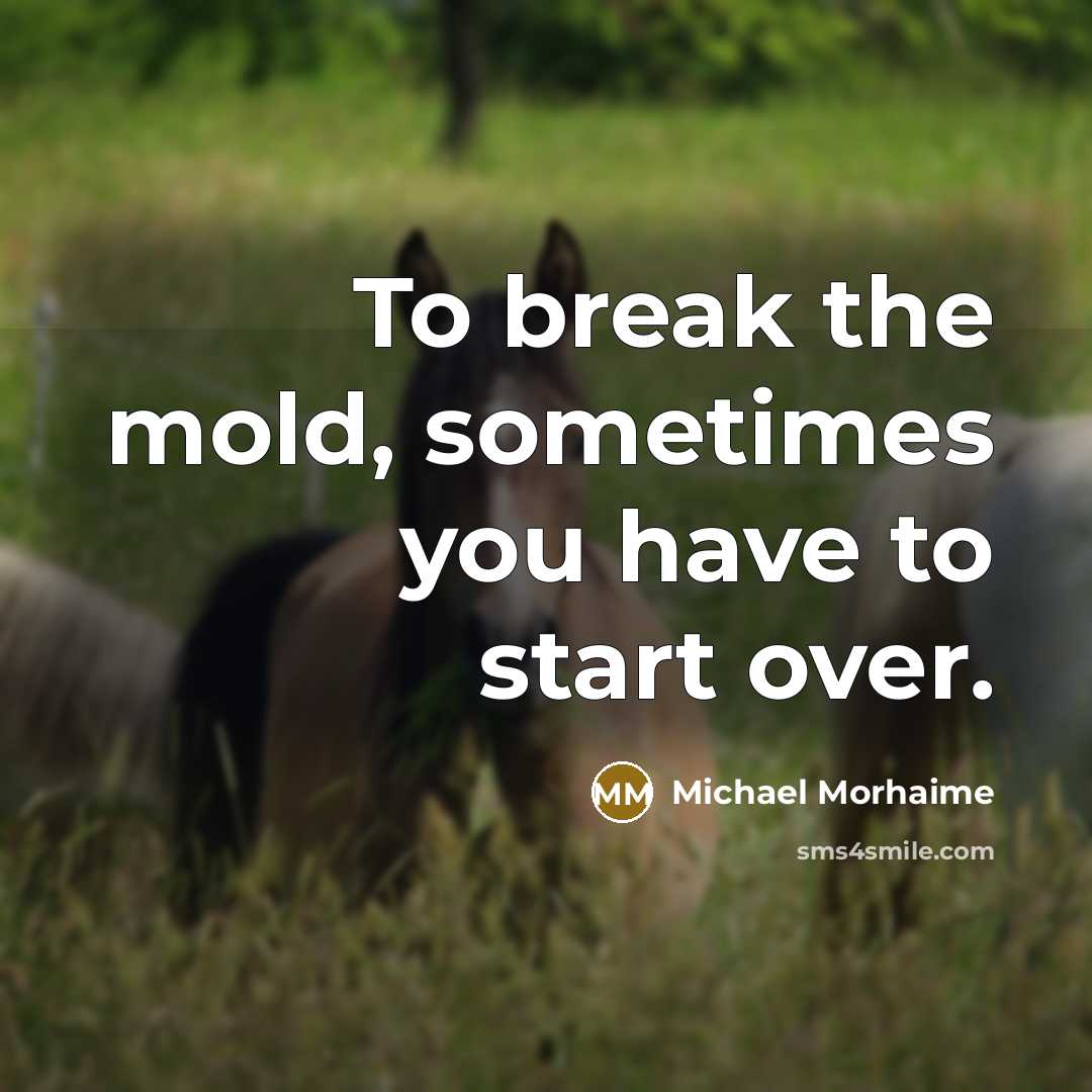 “To break the mold, sometimes you have to start over.” quote by Michael Morhaime