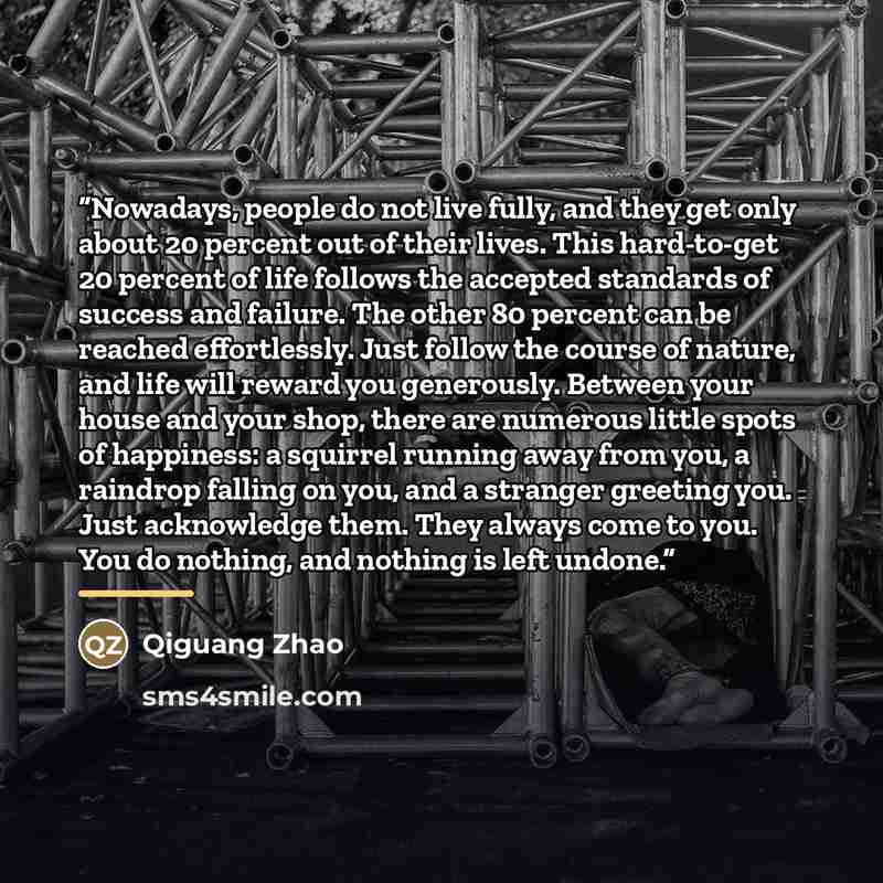 “Nowadays, people do not live fully, and they get only about 20 percent out of their lives. This hard-to-get 20 percent of life follows the accepted standards of success and failure. The other 80 percent can be reached effortlessly. Just follow the course of nature, and life will reward you…” quote by Qiguang Zhao