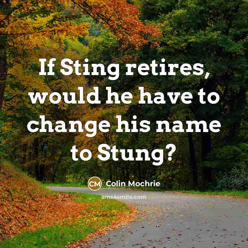 “If Sting retires, would he have to change his name to Stung?” quote by Colin Mochrie