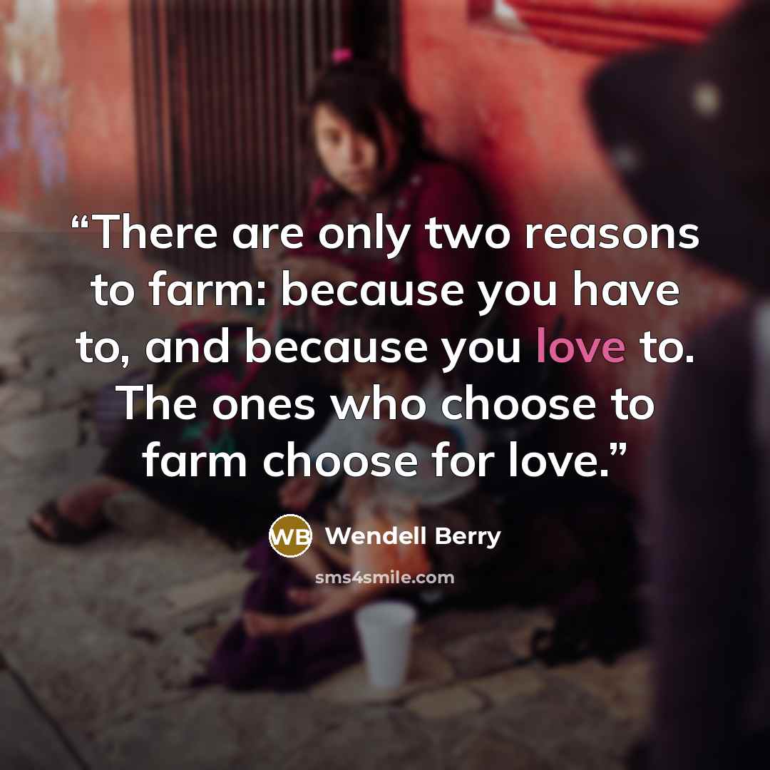 “There are only two reasons to farm: because you have to, and because you love to. The ones who choose to farm choose for love.” quote by Wendell Berry
