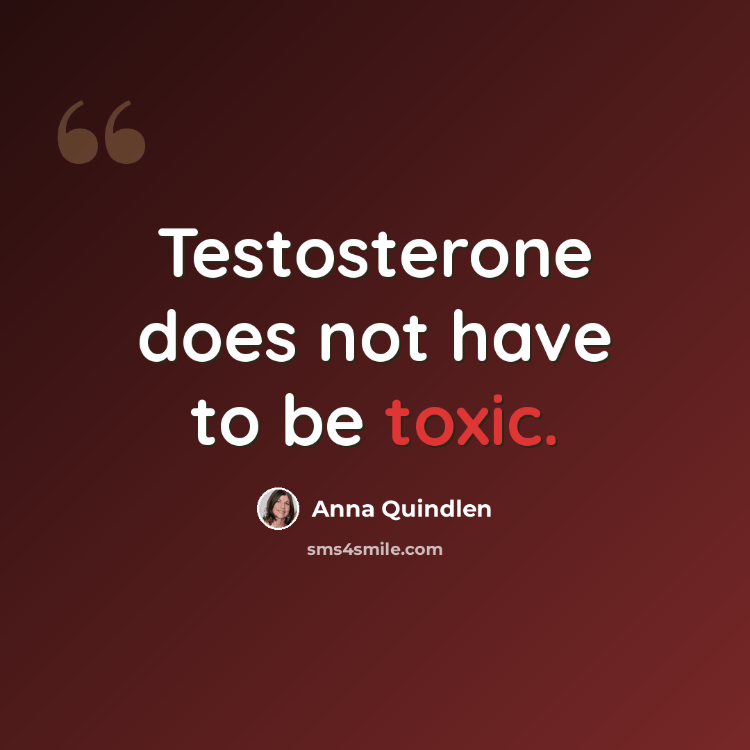 “Testosterone does not have to be toxic.” quote by Anna Quindlen