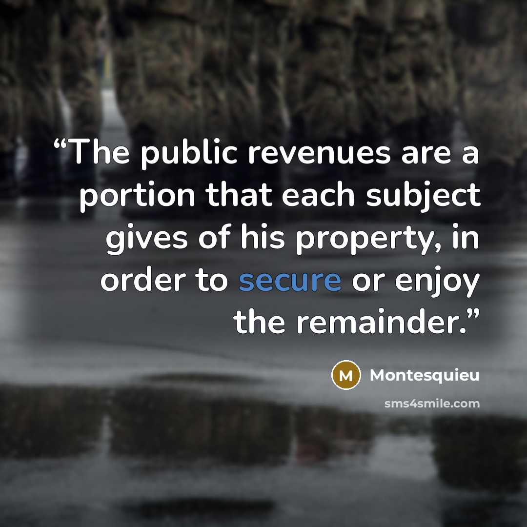 “The public revenues are a portion that each subject gives of his property, in order to secure or enjoy the remainder.” quote by Montesquieu