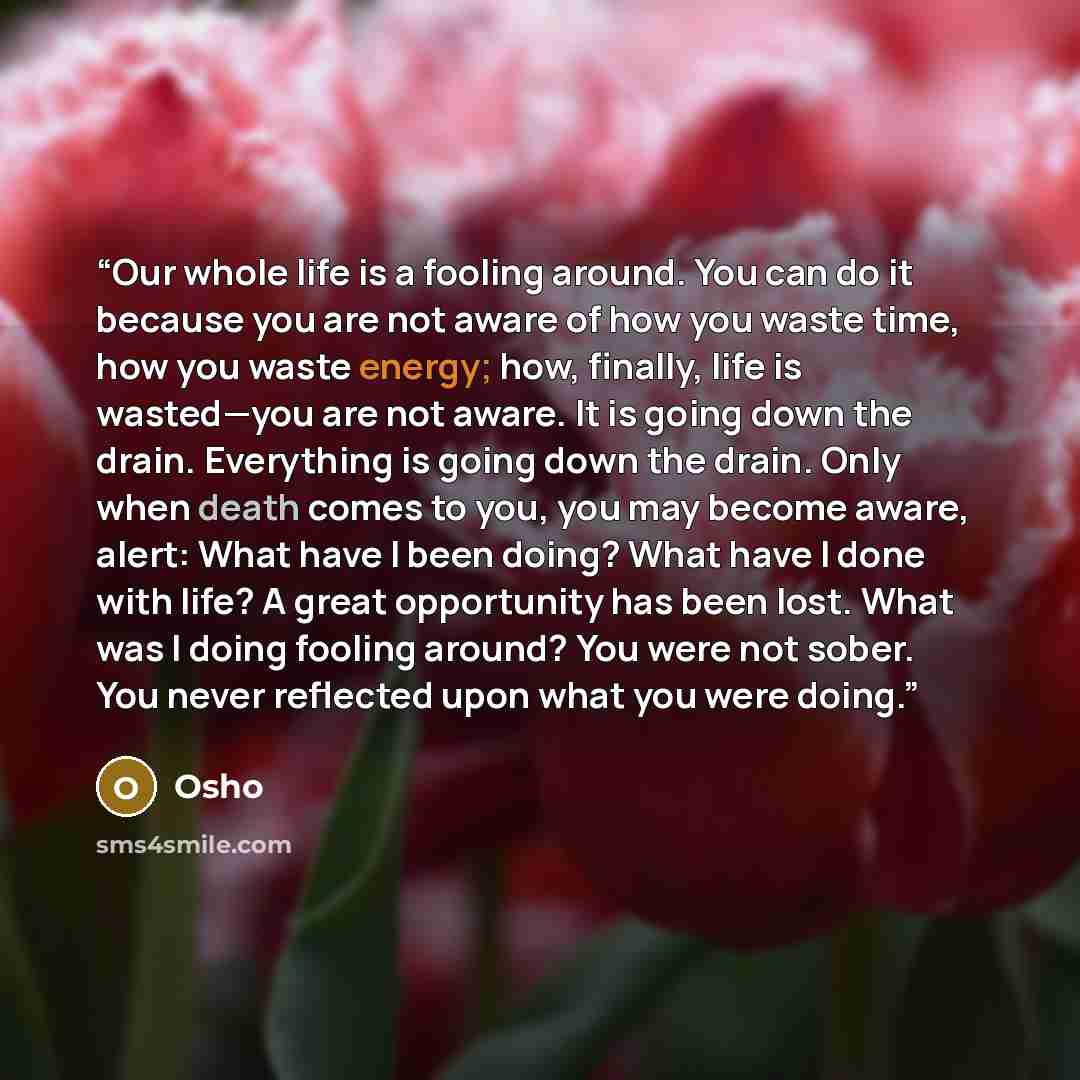 “Our whole life is a fooling around. You can do it because you are not aware of how you waste time, how you waste energy; how, finally, life is wasted—you are not aware. It is going down the drain. Everything is going down the drain. Only when death comes to you, you may become aware, alert: What…” quote by Osho