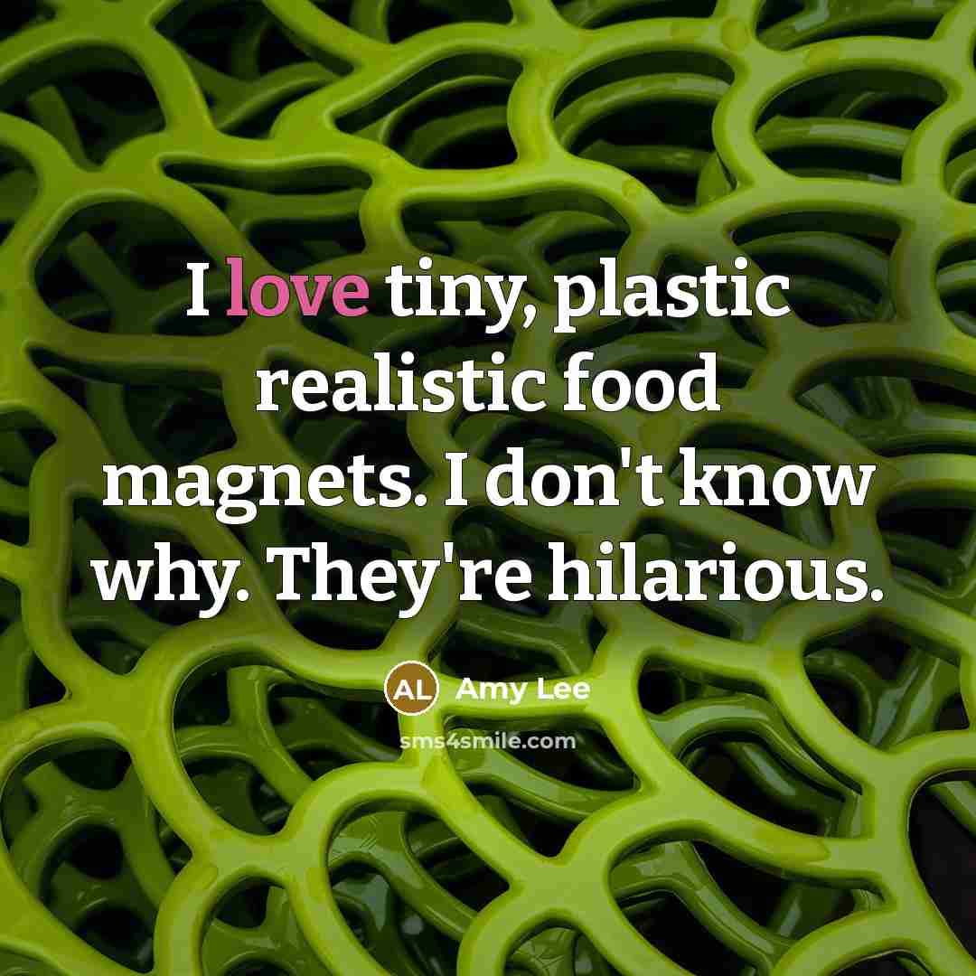 “I love tiny, plastic realistic food magnets. I don't know why. They're hilarious.” quote by Amy Lee