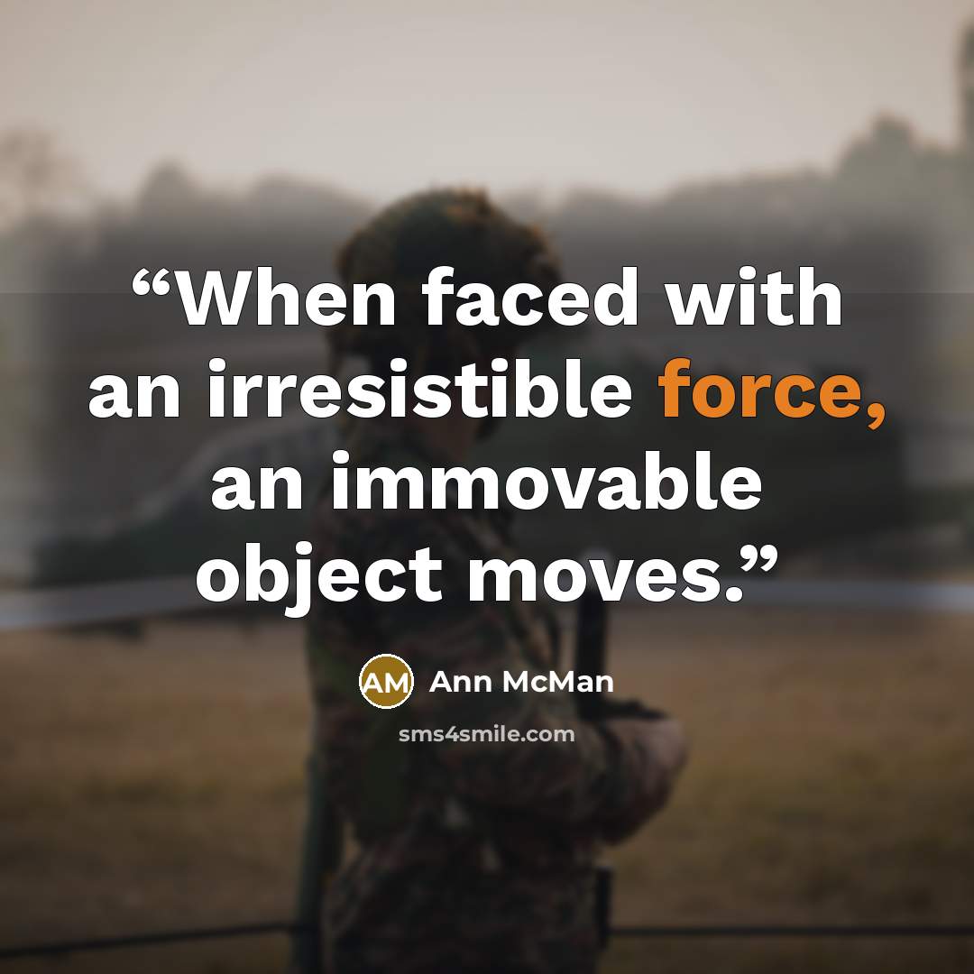 “When faced with an irresistible force, an immovable object moves.” quote by Ann McMan