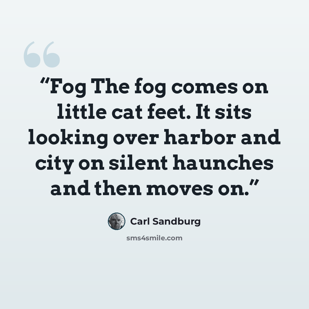 “Fog The fog comes on little cat feet. It sits looking over harbor and city on silent haunches and then moves on.” quote by Carl Sandburg