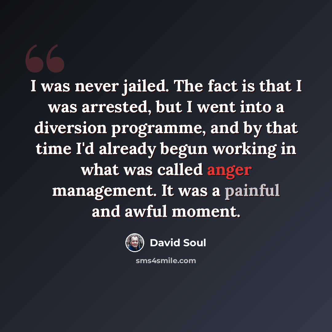 “I was never jailed. The fact is that I was arrested, but I went into a diversion programme, and by that time I'd already begun working in what was called anger management. It was a painful and awful moment.” quote by David Soul