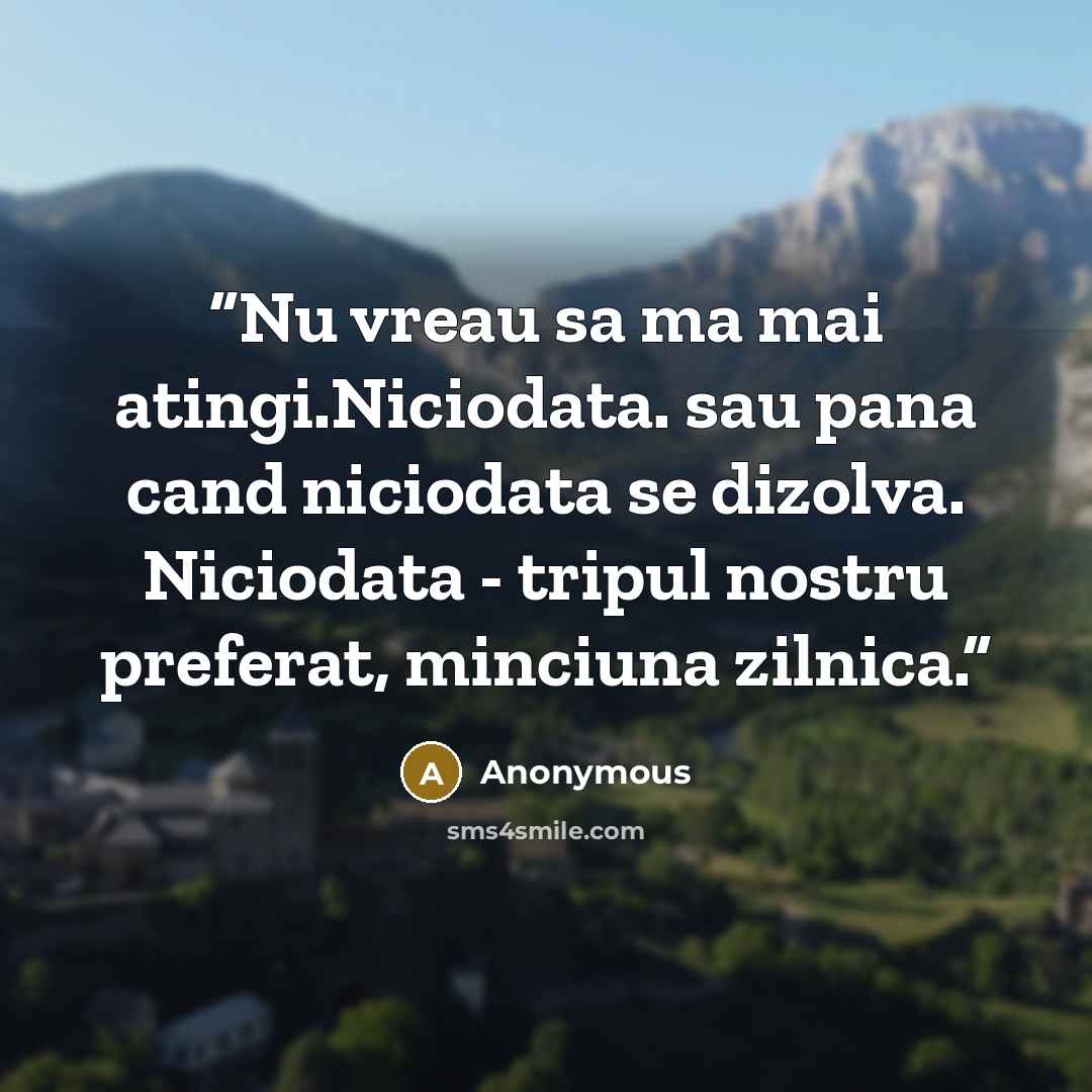 “Nu vreau sa ma mai atingi.Niciodata. sau pana cand niciodata se dizolva. Niciodata - tripul nostru preferat, minciuna zilnica.” quote by Anonymous
