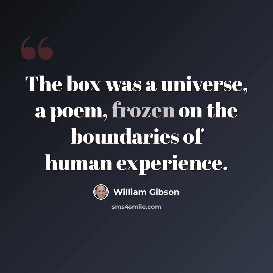 “The box was a universe, a poem, frozen on the boundaries of human experience.” quote by William Gibson