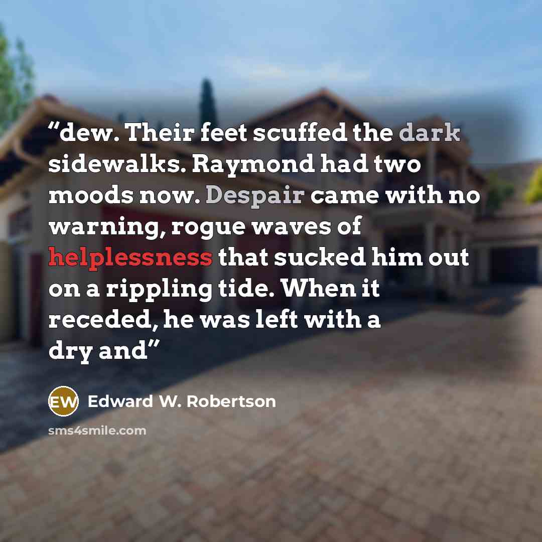 “dew. Their feet scuffed the dark sidewalks. Raymond had two moods now. Despair came with no warning, rogue waves of helplessness that sucked him out on a rippling tide. When it receded, he was left with a dry and” quote by Edward W. Robertson