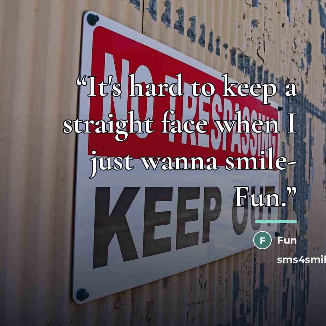 “It's hard to keep a straight face when I just wanna smile- Fun.” quote by Fun