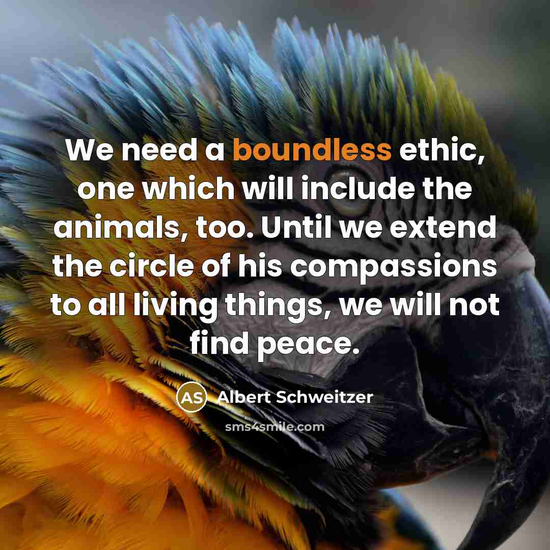 “We need a boundless ethic, one which will include the animals, too. Until we extend the circle of his compassions to all living things, we will not find peace.” quote by Albert Schweitzer
