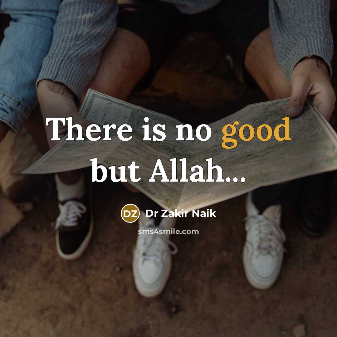 “There is no good but Allah...” quote by Dr Zakir Naik