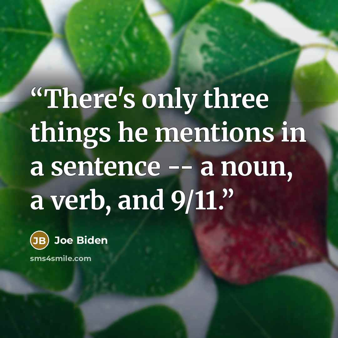 “There's only three things he mentions in a sentence -- a noun, a verb, and 9/11.” quote by Joe Biden