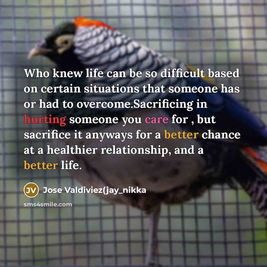 “Who knew life can be so difficult based on certain situations that someone has or had to overcome.Sacrificing in hurting someone you care for , but sacrifice it anyways for a better chance at a healthier relationship, and a better life.” quote by Jose Valdiviez(jay_nikka