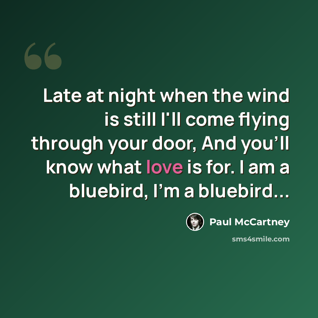 “Late at night when the wind is still I'll come flying through your door, And you'll know what love is for. I am a bluebird, I'm a bluebird...” quote by Paul McCartney
