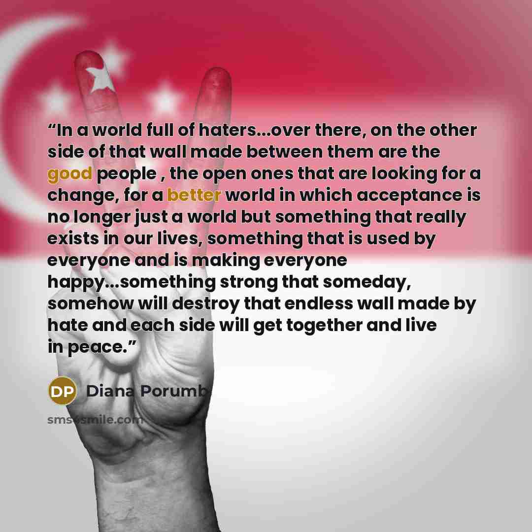 “In a world full of haters...over there, on the other side of that wall made between them are the good people , the open ones that are looking for a change, for a better world in which acceptance is no longer just a world but something that really exists in our lives, something that is used by…” quote by Diana Porumb