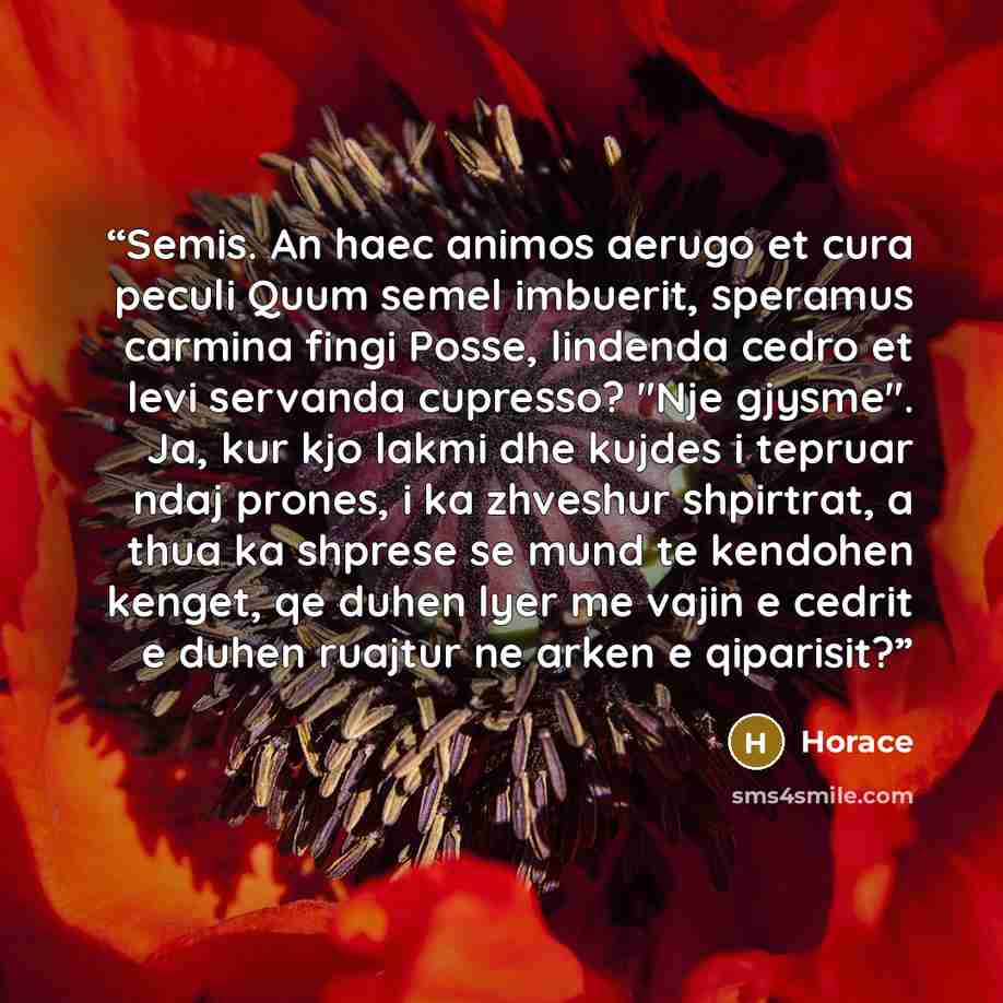 “Semis. An haec animos aerugo et cura peculi Quum semel imbuerit, speramus carmina fingi Posse, lindenda cedro et levi servanda cupresso? "Nje gjysme". Ja, kur kjo lakmi dhe kujdes i tepruar ndaj prones, i ka zhveshur shpirtrat, a thua ka shprese se mund te kendohen kenget, qe duhen lyer me vajin e…” quote by Horace
