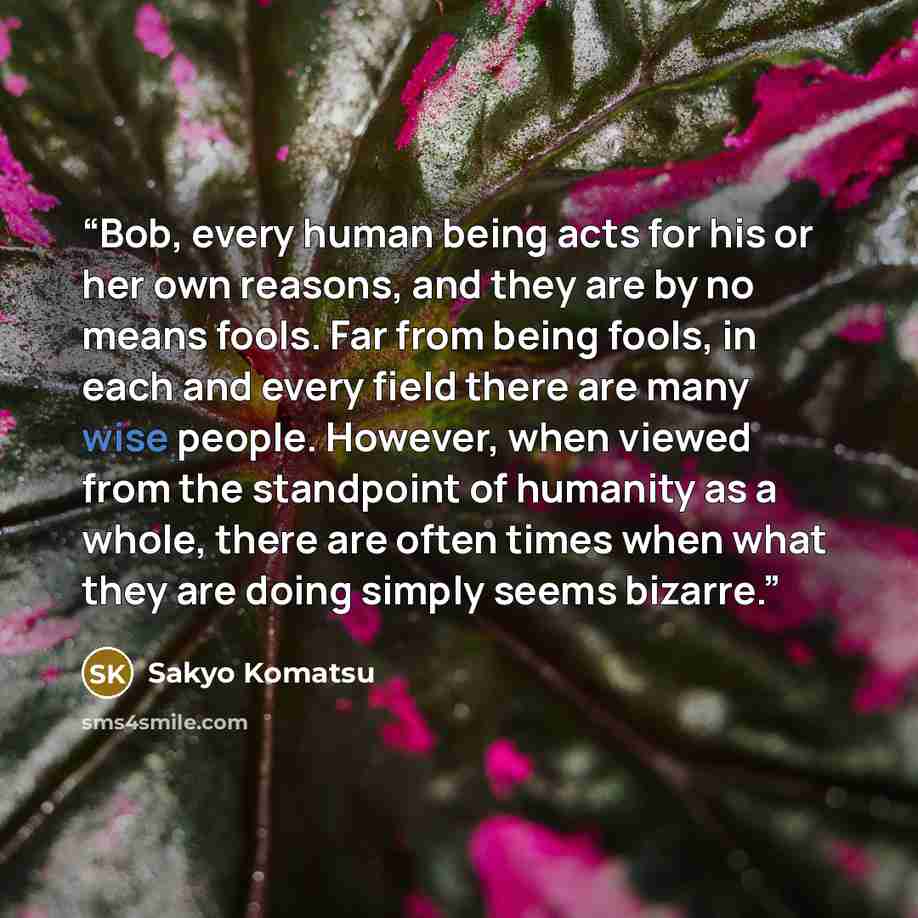 “Bob, every human being acts for his or her own reasons, and they are by no means fools. Far from being fools, in each and every field there are many wise people. However, when viewed from the standpoint of humanity as a whole, there are often times when what they are doing simply seems bizarre.” quote by Sakyo Komatsu