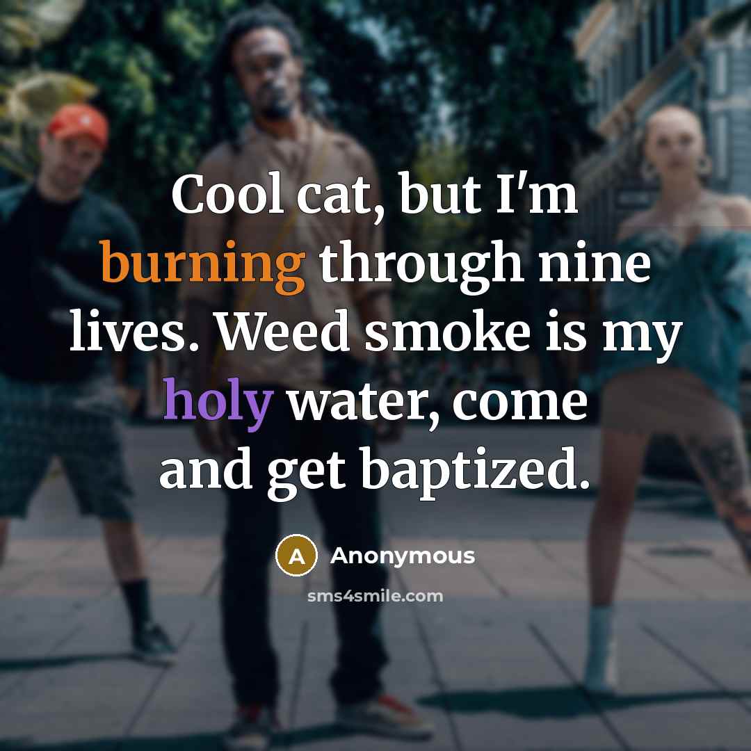 “Cool cat, but I'm burning through nine lives. Weed smoke is my holy water, come and get baptized.” quote by Anonymous