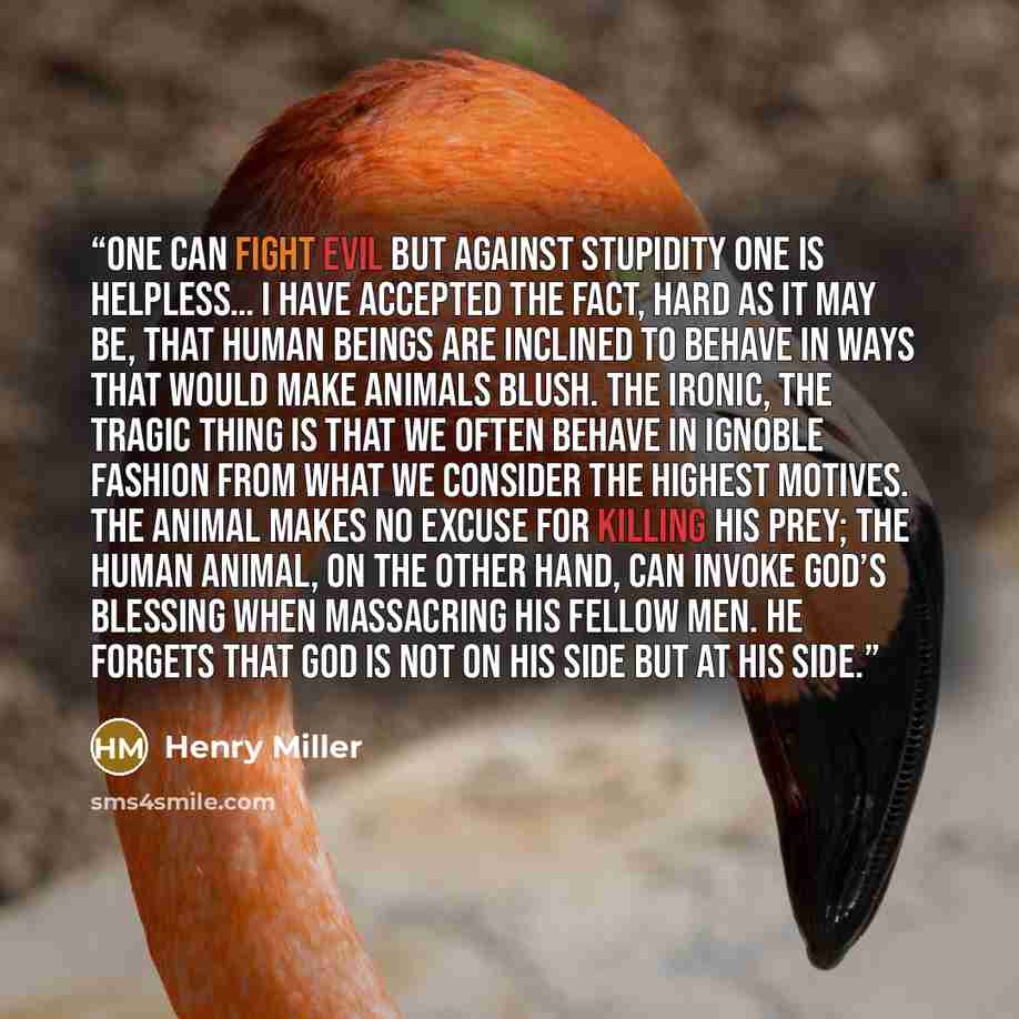 “One can fight evil but against stupidity one is helpless… I have accepted the fact, hard as it may be, that human beings are inclined to behave in ways that would make animals blush. The ironic, the tragic thing is that we often behave in ignoble fashion from what we consider the highest motives…” quote by Henry Miller