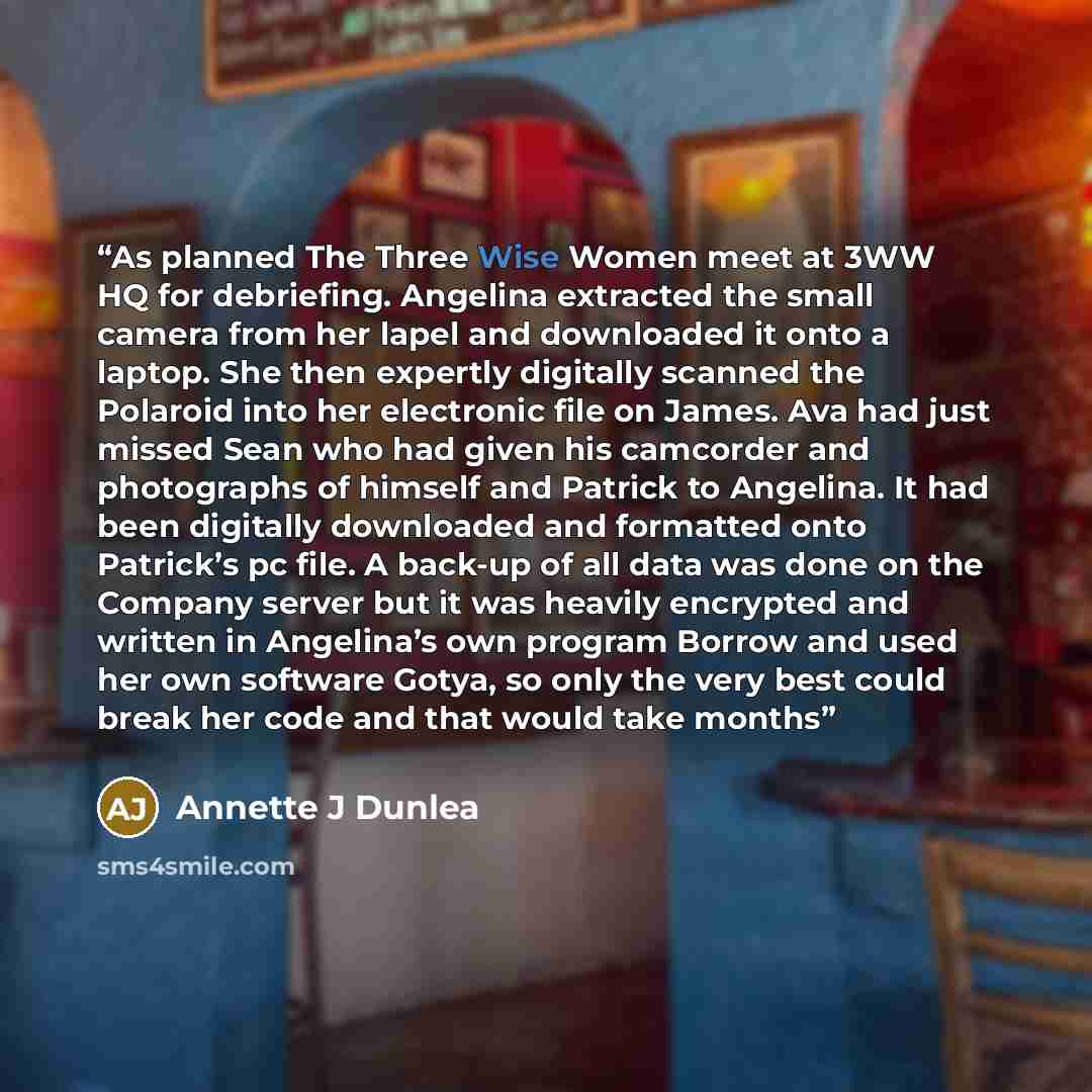 “As planned The Three Wise Women meet at 3WW HQ for debriefing. Angelina extracted the small camera from her lapel and downloaded it onto a laptop. She then expertly digitally scanned the Polaroid into her electronic file on James. Ava had just missed Sean who had given his camcorder and…” quote by Annette J Dunlea