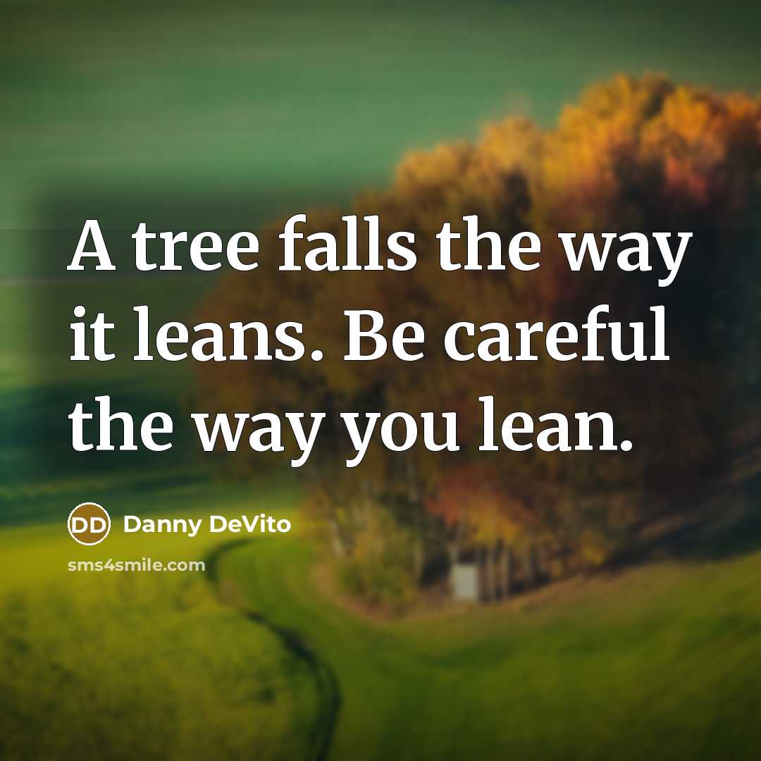 “A tree falls the way it leans. Be careful the way you lean.” quote by Danny DeVito