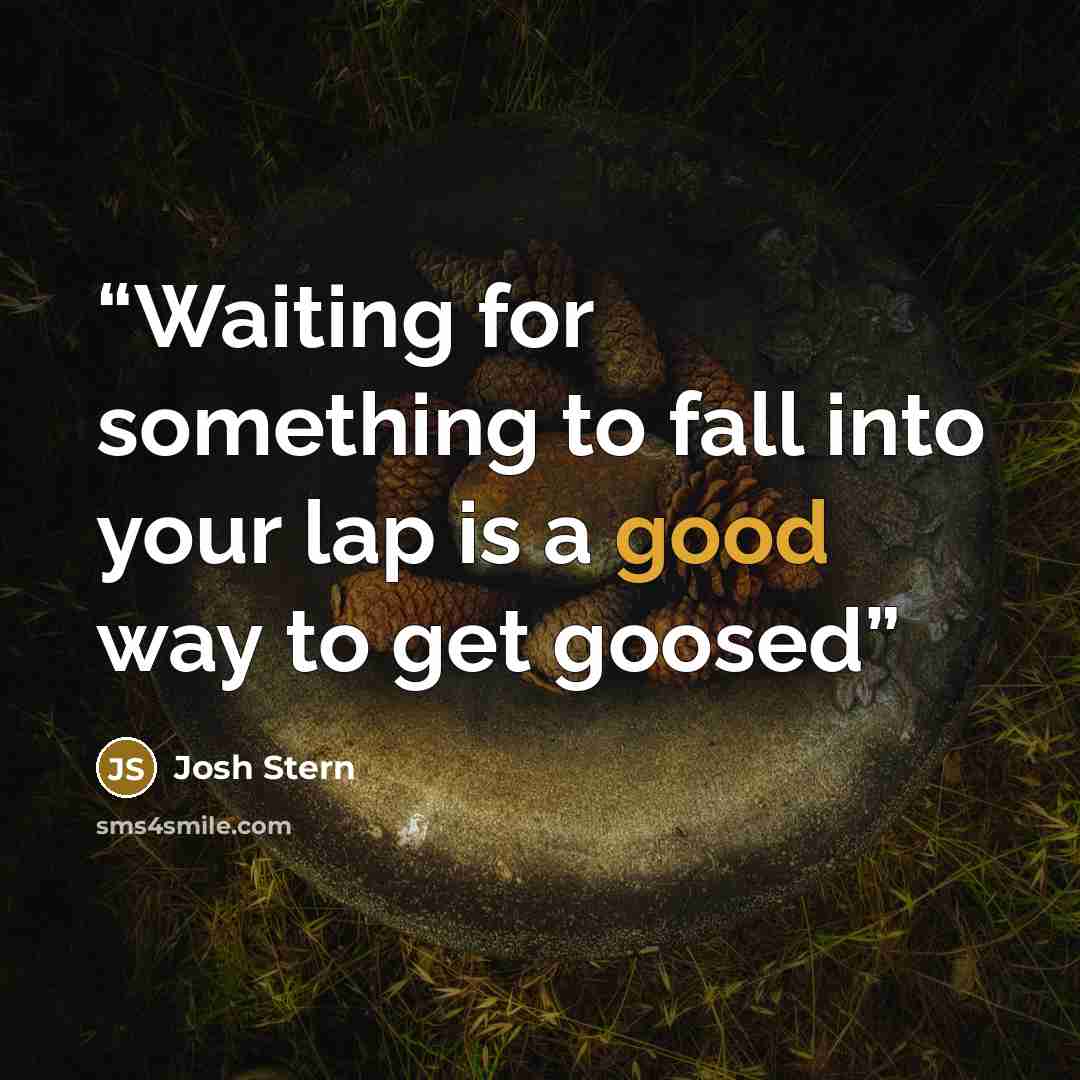 “Waiting for something to fall into your lap is a good way to get goosed” quote by Josh Stern