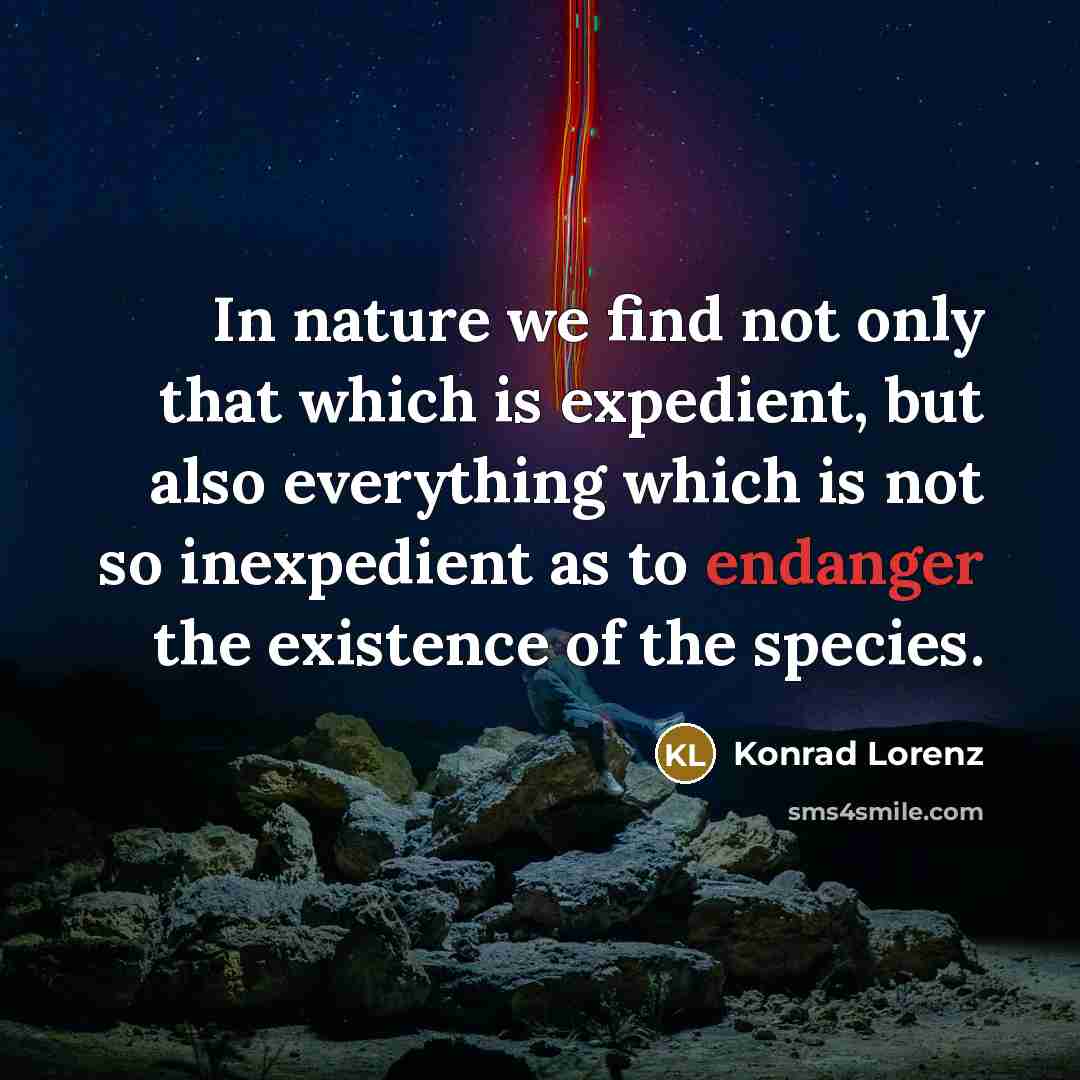 “In nature we find not only that which is expedient, but also everything which is not so inexpedient as to endanger the existence of the species.” quote by Konrad Lorenz