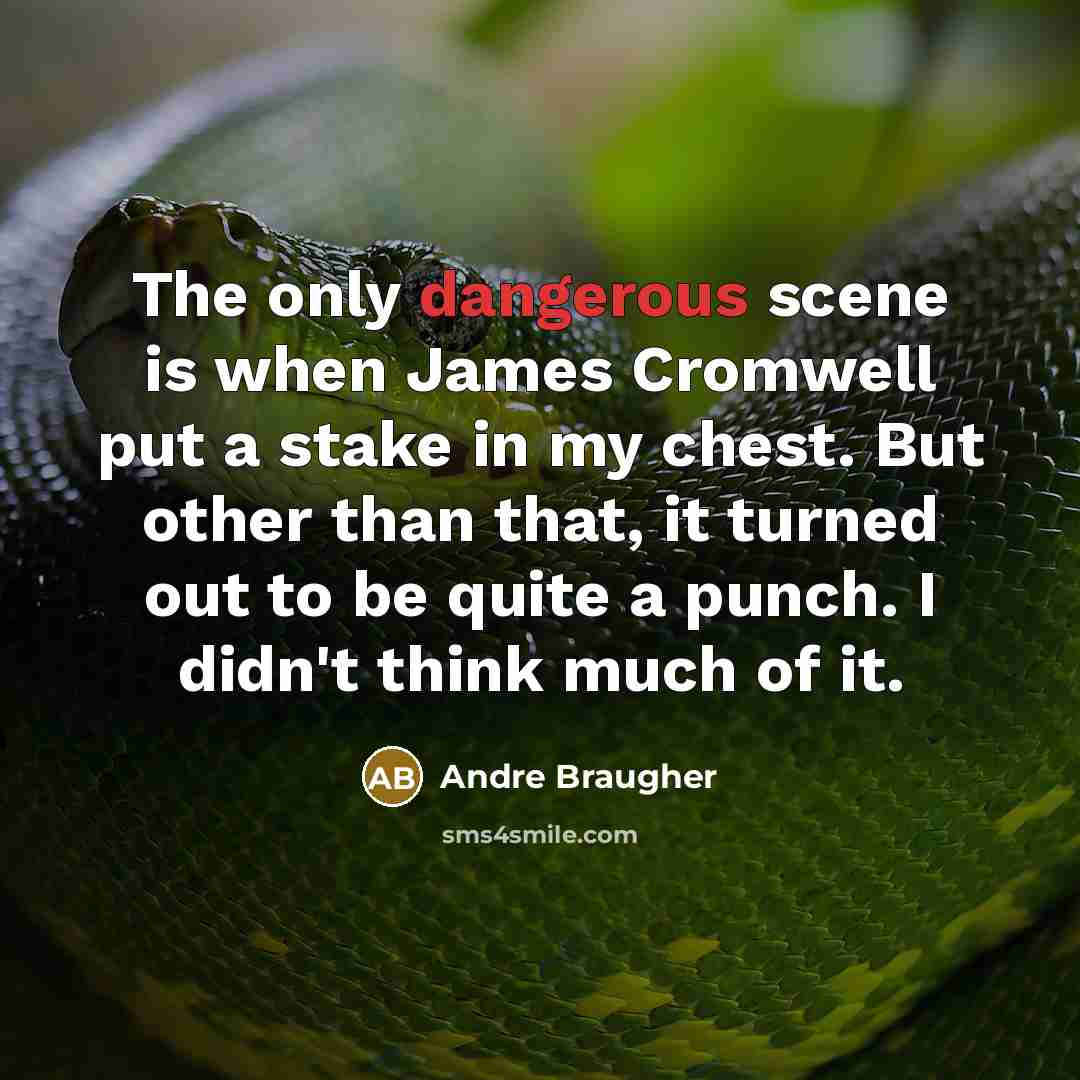 “The only dangerous scene is when James Cromwell put a stake in my chest. But other than that, it turned out to be quite a punch. I didn't think much of it.” quote by Andre Braugher