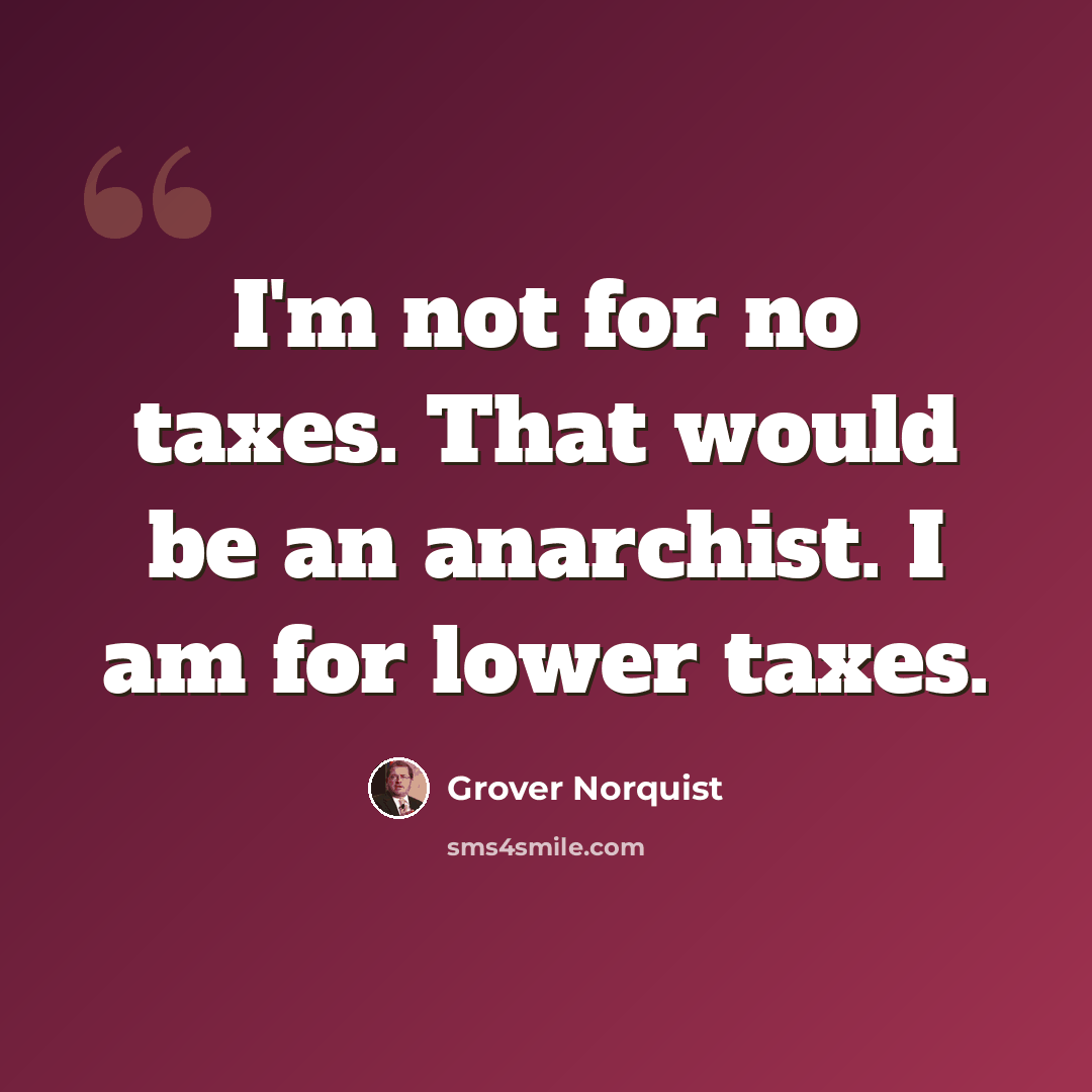 “I'm not for no taxes. That would be an anarchist. I am for lower taxes.” quote by Grover Norquist