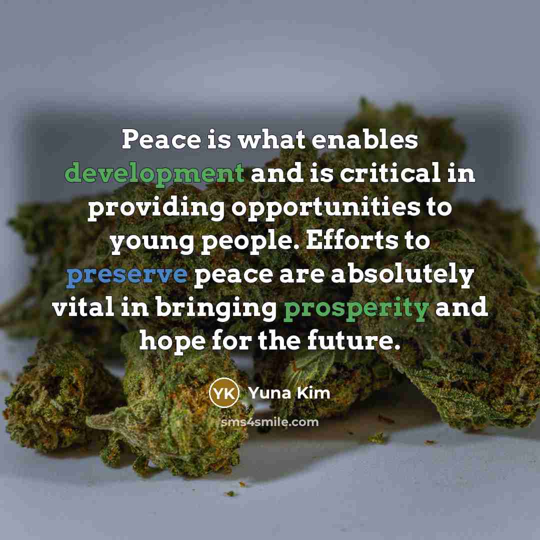 “Peace is what enables development and is critical in providing opportunities to young people. Efforts to preserve peace are absolutely vital in bringing prosperity and hope for the future.” quote by Yuna Kim
