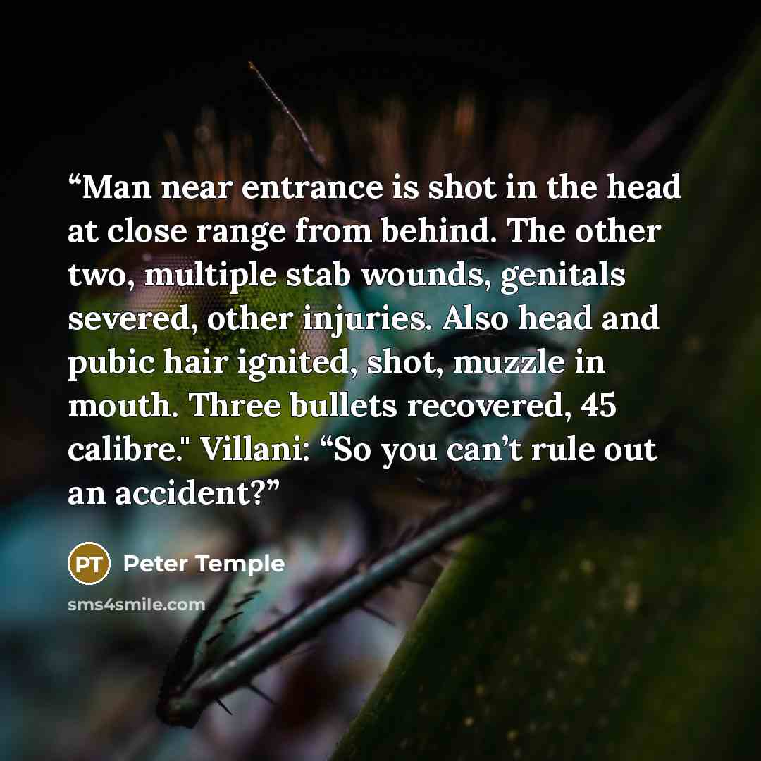 “Man near entrance is shot in the head at close range from behind. The other two, multiple stab wounds, genitals severed, other injuries. Also head and pubic hair ignited, shot, muzzle in mouth. Three bullets recovered, 45 calibre." Villani: “So you can’t rule out an accident?” quote by Peter Temple