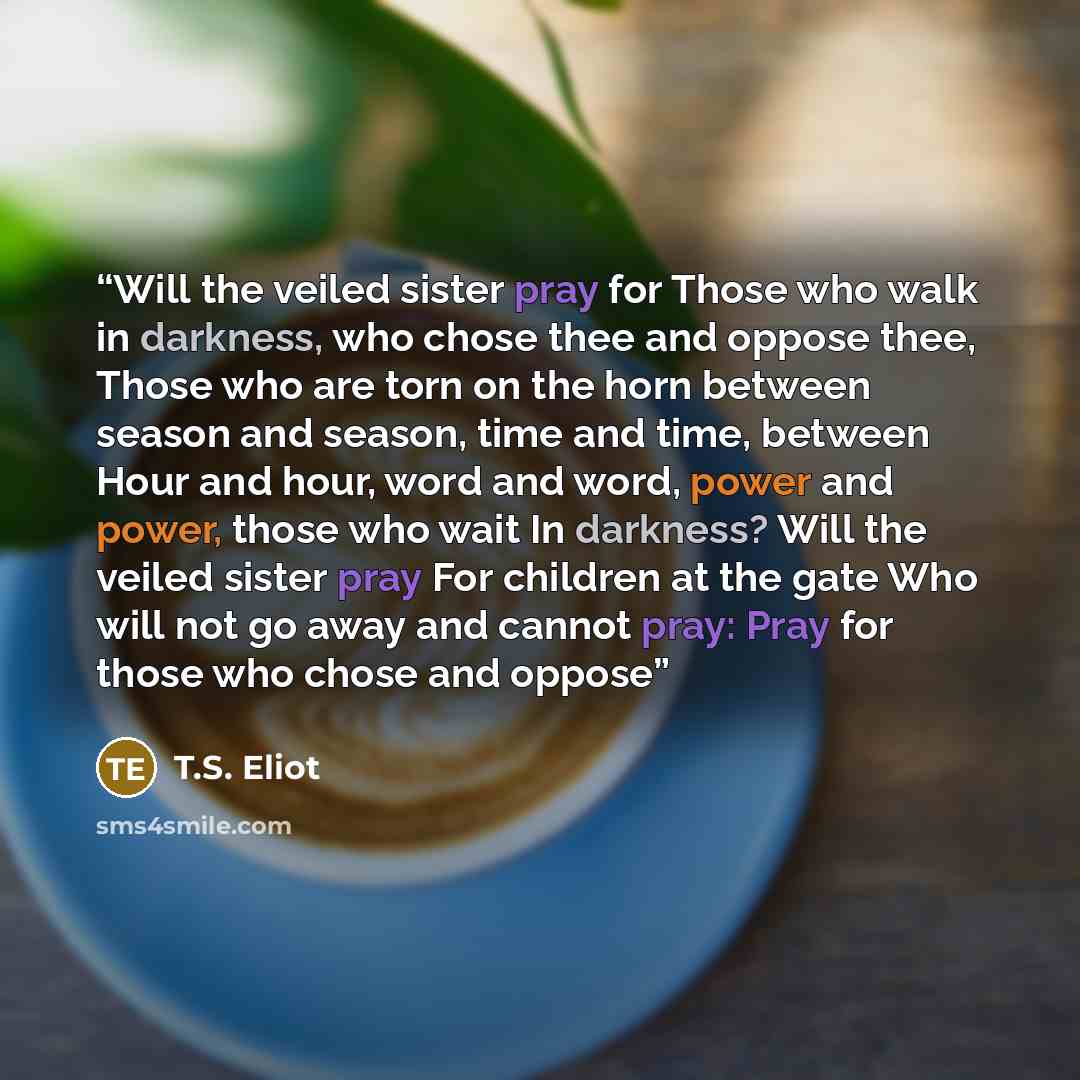 “Will the veiled sister pray for Those who walk in darkness, who chose thee and oppose thee, Those who are torn on the horn between season and season, time and time, between Hour and hour, word and word, power and power, those who wait In darkness? Will the veiled sister pray For children at the…” quote by T.S. Eliot