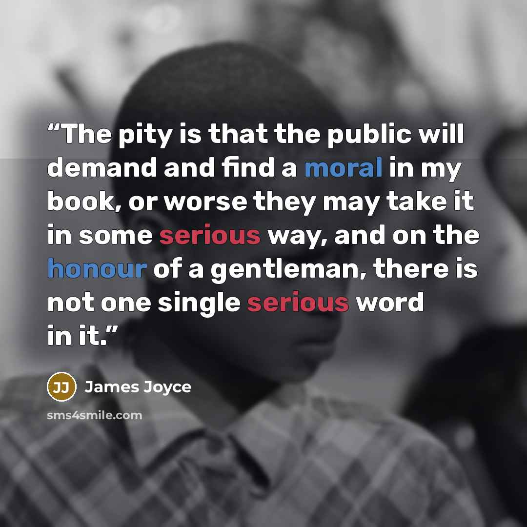“The pity is that the public will demand and find a moral in my book, or worse they may take it in some serious way, and on the honour of a gentleman, there is not one single serious word in it.” quote by James Joyce