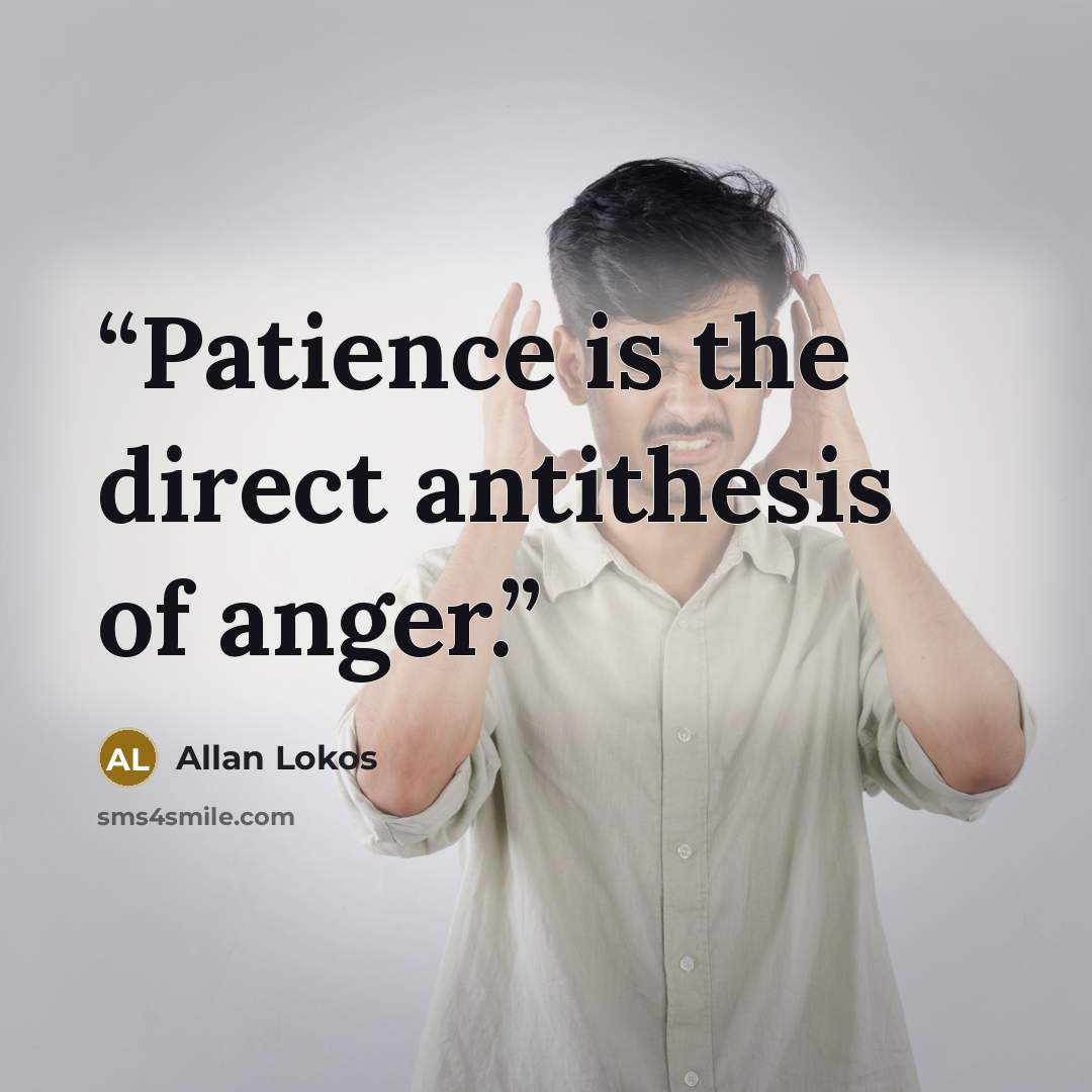 “Patience is the direct antithesis of anger.” quote by Allan Lokos