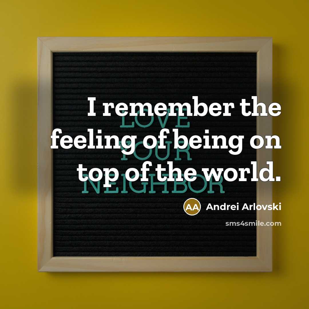 “I remember the feeling of being on top of the world.” quote by Andrei Arlovski