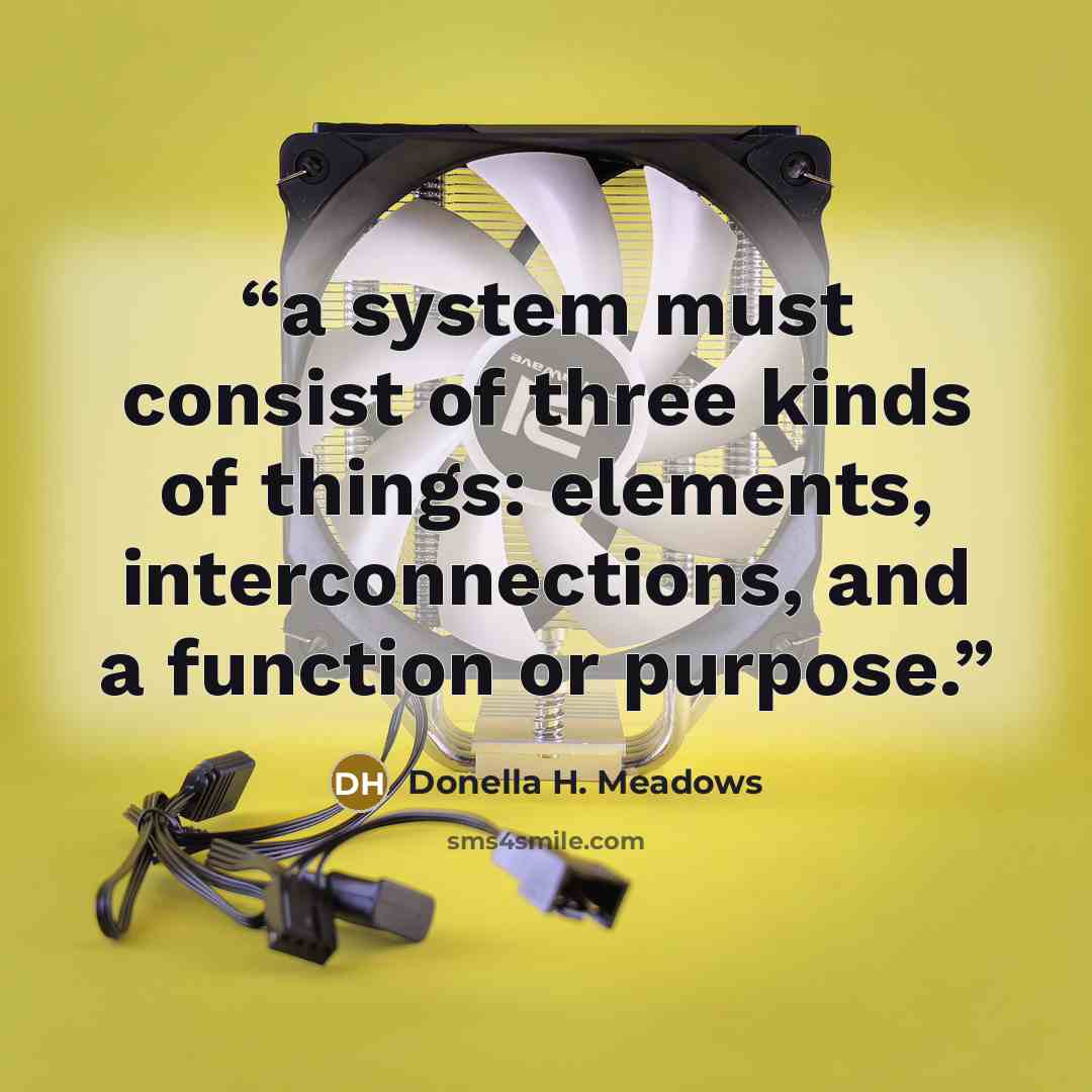 “a system must consist of three kinds of things: elements, interconnections, and a function or purpose.” quote by Donella H. Meadows