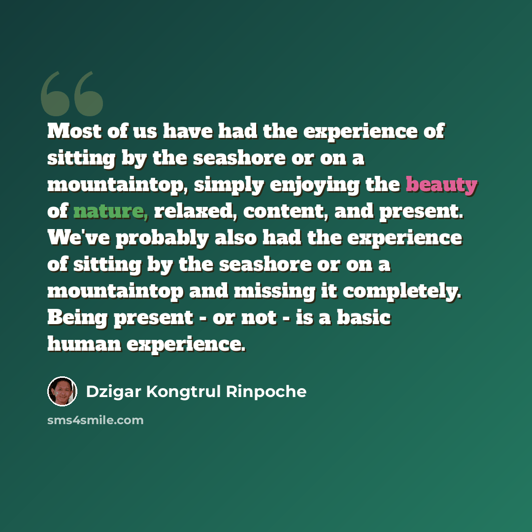 “Most of us have had the experience of sitting by the seashore or on a mountaintop, simply enjoying the beauty of nature, relaxed, content, and present. We've probably also had the experience of sitting by the seashore or on a mountaintop and missing it completely. Being present - or not - is a…” quote by Dzigar Kongtrul Rinpoche