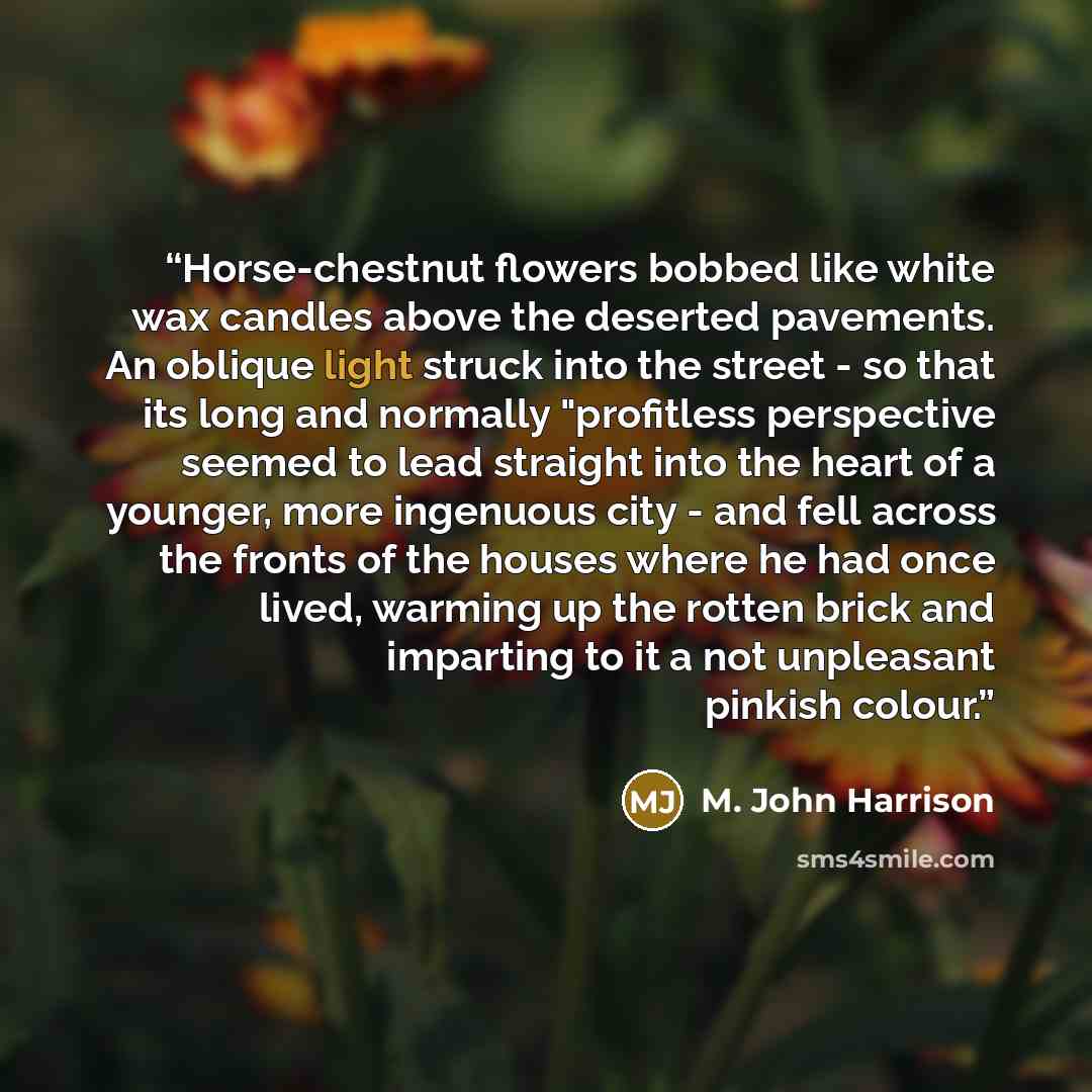 “Horse-chestnut flowers bobbed like white wax candles above the deserted pavements. An oblique light struck into the street - so that its long and normally "profitless perspective seemed to lead straight into the heart of a younger, more ingenuous city - and fell across the fronts of the houses…” quote by M. John Harrison