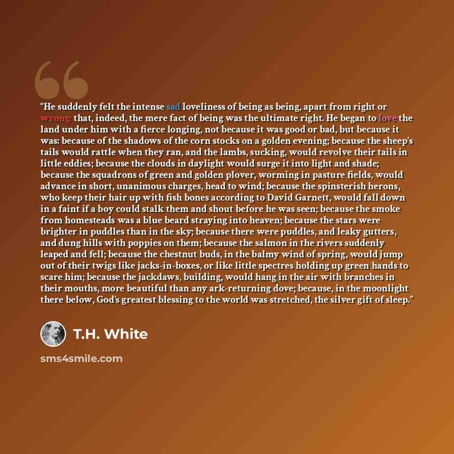 “He suddenly felt the intense sad loveliness of being as being, apart from right or wrong: that, indeed, the mere fact of being was the ultimate right. He began to love the land under him with a fierce longing, not because it was good or bad, but because it was: because of the shadows of the corn…” quote by T.H. White