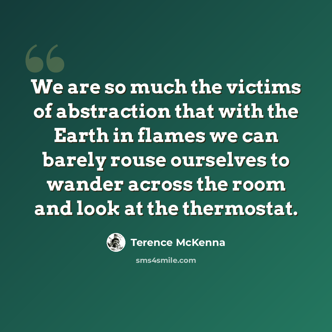 “We are so much the victims of abstraction that with the Earth in flames we can barely rouse ourselves to wander across the room and look at the thermostat.” quote by Terence McKenna