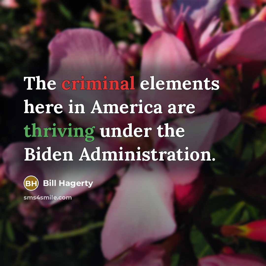 “The criminal elements here in America are thriving under the Biden Administration.” quote by Bill Hagerty
